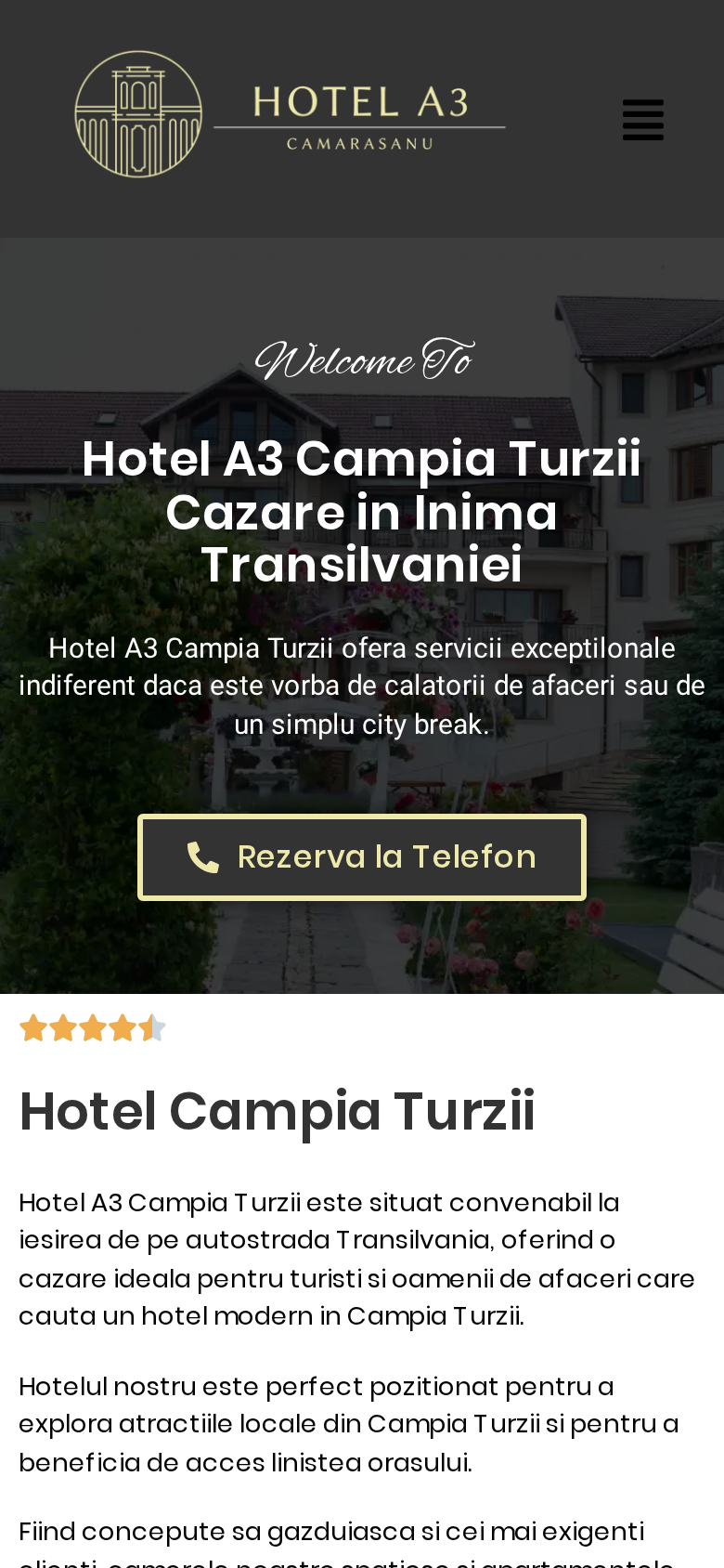 Versiunea mobilă a site-ului Hotel A3